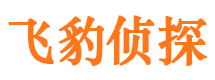 额济纳旗外遇取证